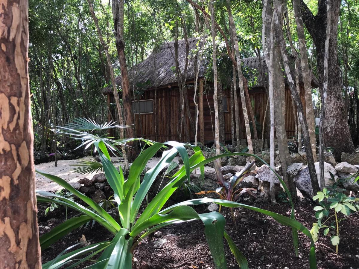 Bayou Tulum Exterior photo